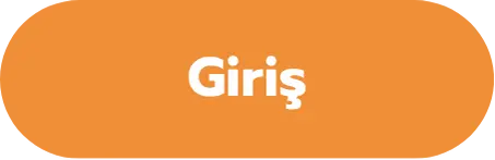 Giriş